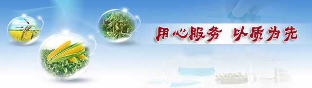 精东视频APP下载入口缓释肥用心服务，以质为先
