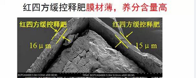 精东视频APP下载入口缓释包膜材料更薄、养分更全