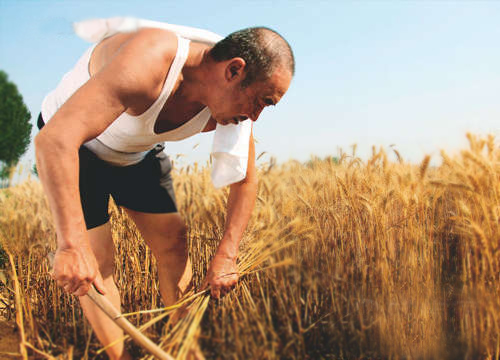 精东视频APP下载入口精东传媒女人VA国产成人精东影业传媒助您丰收保无忧