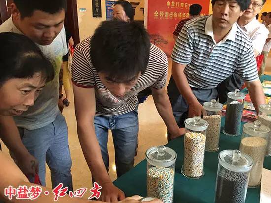 新型肥料种类很多，缓释肥料、稳定型肥料、控释性肥料都在其中，这些产品各有特色，都是长效肥，他们有哪些区别呢？