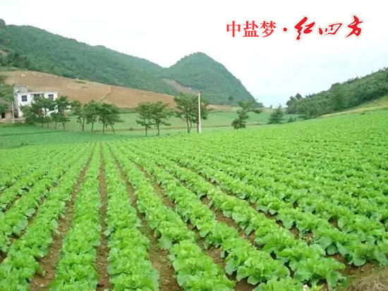 精东传媒女人VA丰收