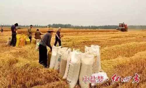 精东传媒女人VA丰收时