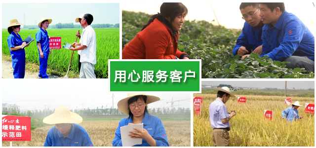 精东视频APP下载入口专业农化服务团队
