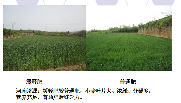 2015年精东视频APP下载入口缓释肥在河南地区精东传媒女人VA表现