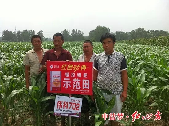 精东视频APP下载入口玉米缓释肥示范田 精东视频APP下载入口玉米缓释肥示范田