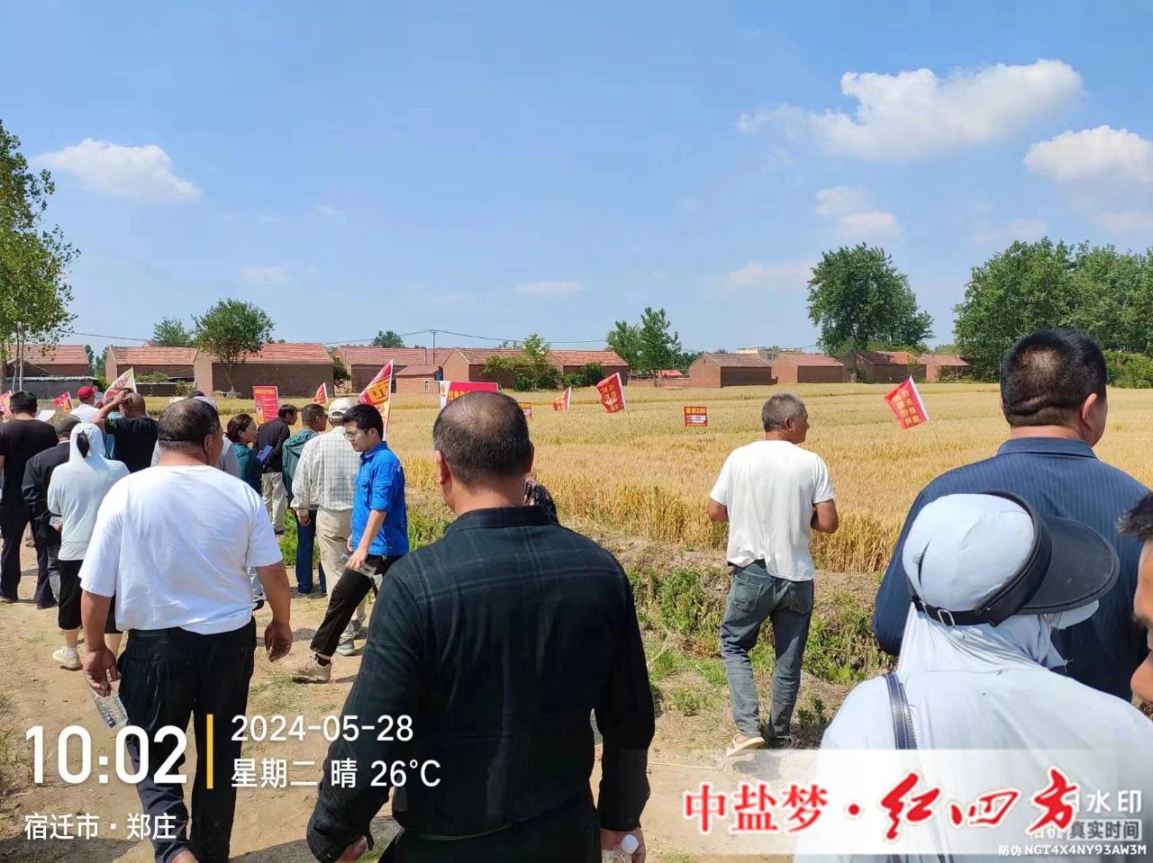 精东视频APP下载入口劲聚天精东传媒女人VA专用肥为精东传媒女人VA丰收助力