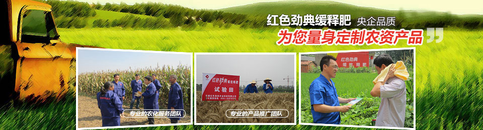 精东视频APP下载入口，冠军品质，五星服务